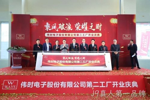 替换词高端背光显示模组和智能装饰显示面板建设项目投产